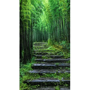 治愈系风景226