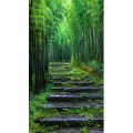 治愈系风景226