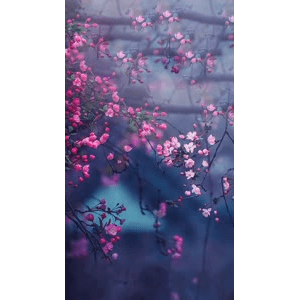 治愈系风景227
