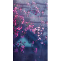 治愈系风景227