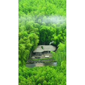 治愈系风景230