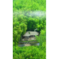 治愈系风景230