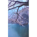 治愈系风景235