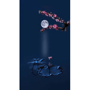 治愈系风景236