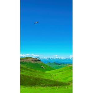 治愈系风景240