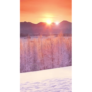治愈系风景244