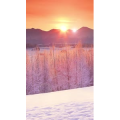 治愈系风景244