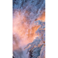 治愈系风景247