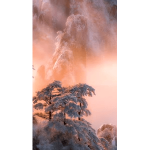 治愈系风景249