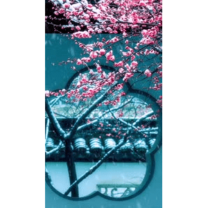治愈系风景250
