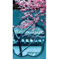 治愈系风景250