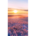 治愈系风景252