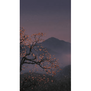 治愈系风景277