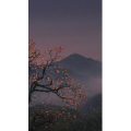 治愈系风景277