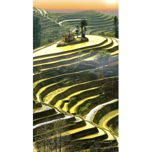 治愈系风景288