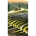 治愈系风景288