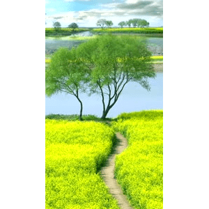 治愈系风景291