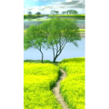 治愈系风景291