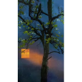 治愈系风景293