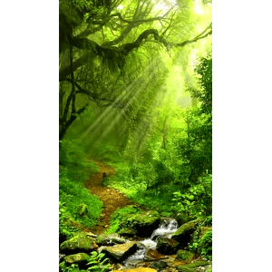 治愈系风景294