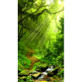 治愈系风景294