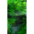 治愈系风景300
