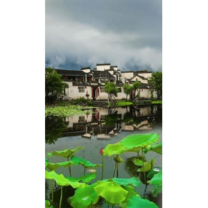 治愈系风景301