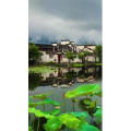治愈系风景301