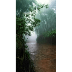 治愈系风景302