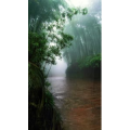 治愈系风景302