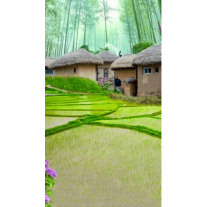 治愈系风景308