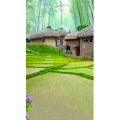 治愈系风景308