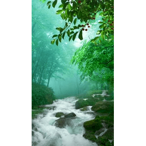 治愈系风景317