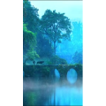 治愈系风景318