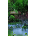 治愈系风景320