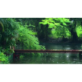 雨1