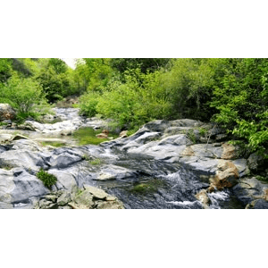 自然风景_小溪2