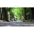 自然风景_林间小道