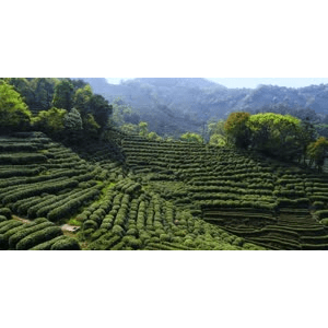 自然风景_梯田
