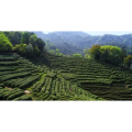 自然风景_梯田