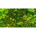 自然风景_森林上空视角