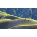 自然风景_策马奔腾