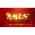 G035121 走向复兴