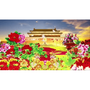 祖国系列8