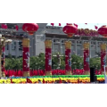 祖国系列59