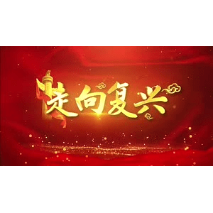 祖国系列219