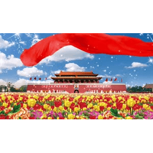 祖国系列248