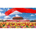 祖国系列248