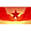 祖国系列290