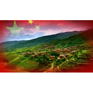 祖国系列294